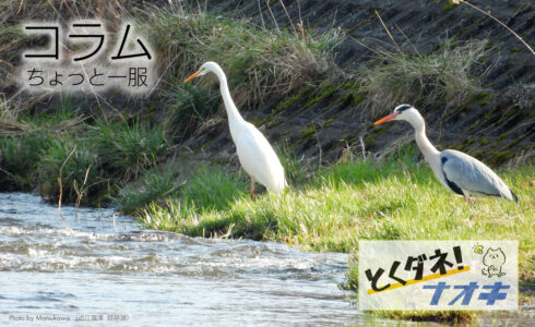 とくダネ！ナオキ
