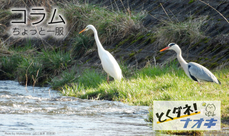 とくダネ!ナオキ