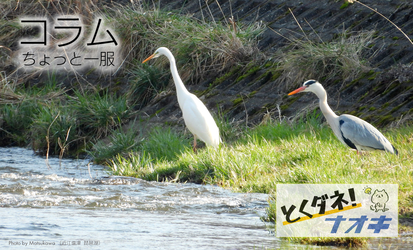 とくダネ!ナオキ